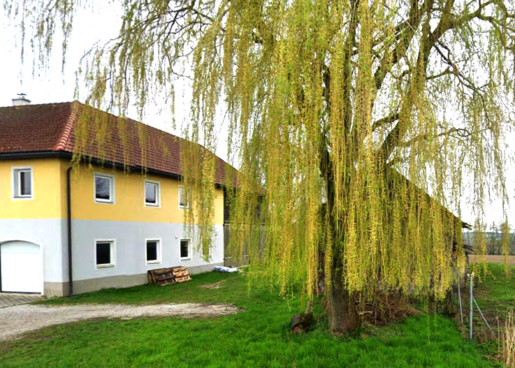 ernshofen